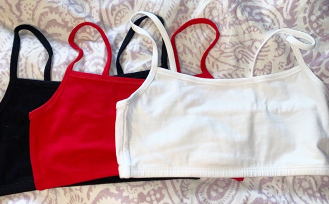 Fruit of the Loom Sports Bras 3-Pack $10.94