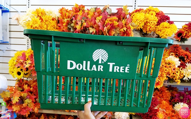 FREE $15 to Spend at Dollar Tree!