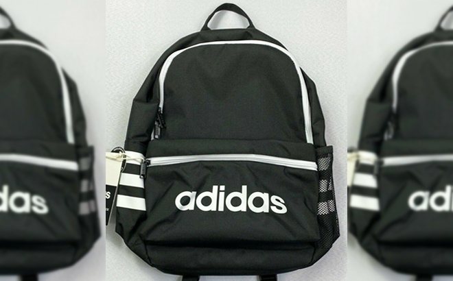 $10 backpacks