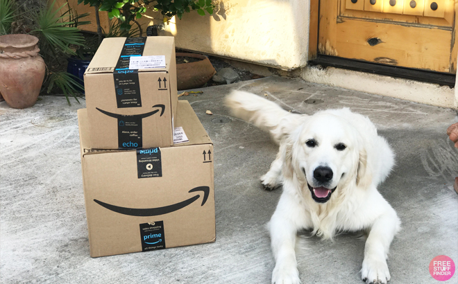 Amazon Baby Welcome Boxes next to a Dog on the Floor