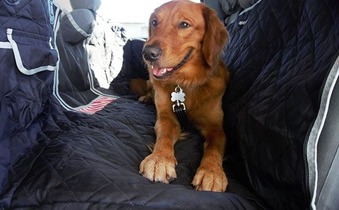Back Seat Dog Cover $18.99