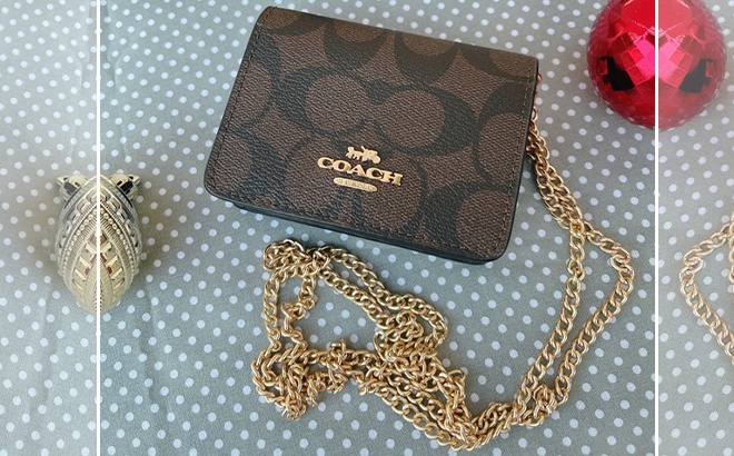 chain wallet coach
