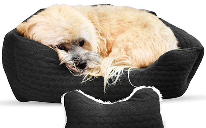 Dog Beds $14.99 (Reg $30)