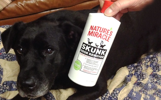 Nature's Miracle Skunk Odor Remover $4.59