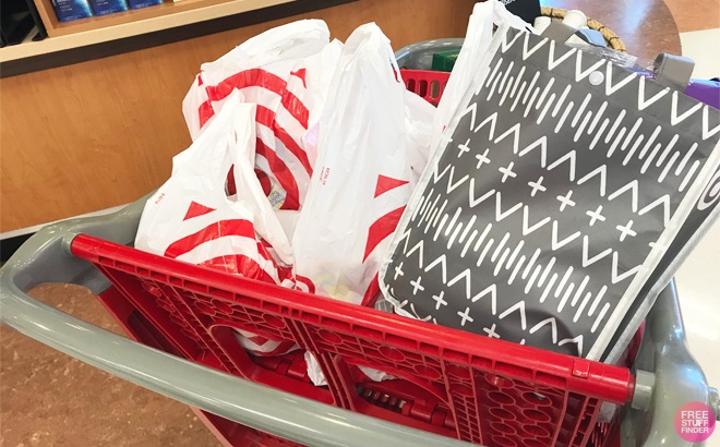 FREE Baby Welcome Bag + RARE Coupons & Savings at Target ($120 Value!)