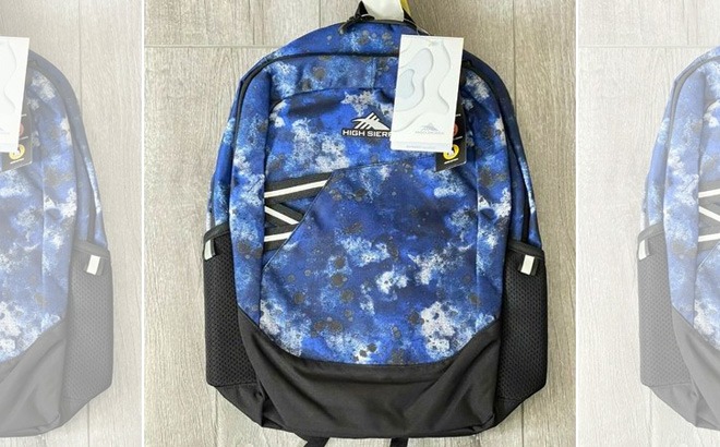 high sierra backpack macys