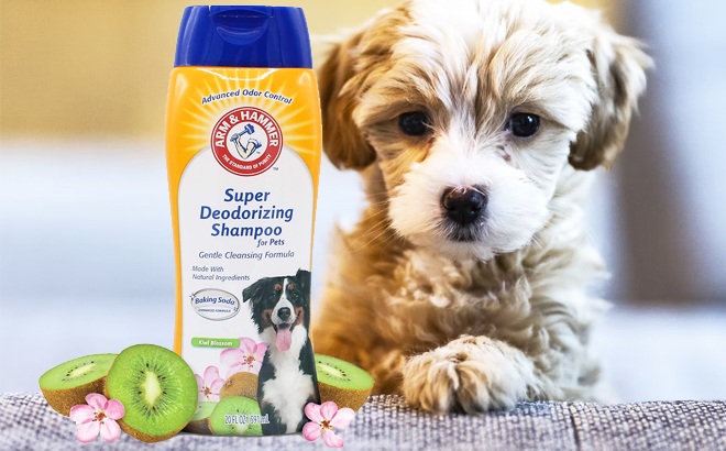 Arm & Hammer Dog Shampoo $2.22