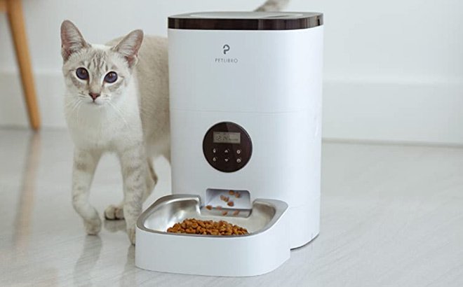 Automatic Pet Food Dispenser $49 Shipped!