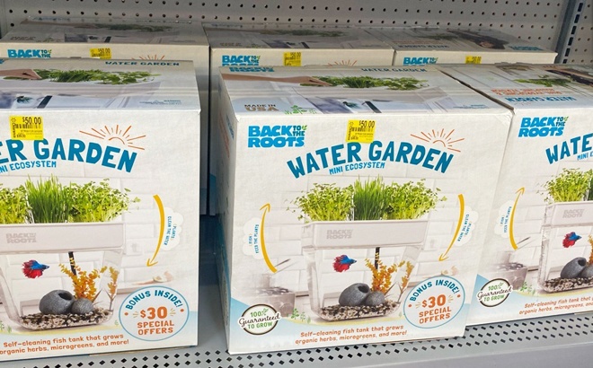 Walmart Clearance: Water Garden $50 (Reg $99)