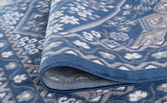 5x7 Area Rug $35 Shipped