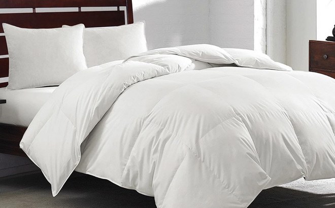 Down Comforters $44.99 Shipped - All Sizes!
