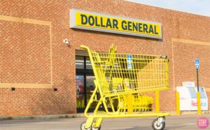 Penny Shopping at Dollar General