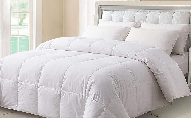Down Comforters $17.50 (Reg $70)