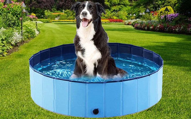 Foldable Dog Pool $19 (Today Only)