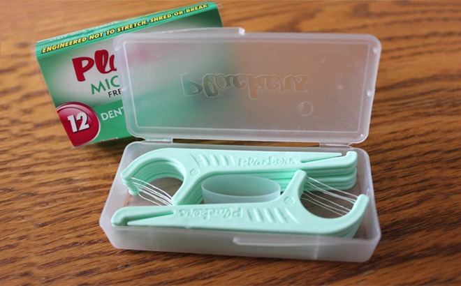 Dental Floss Picks & Travel Case 66¢