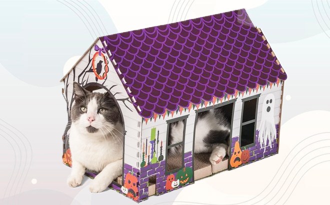 Halloween Cat Playhouse $16 (Reg $26)