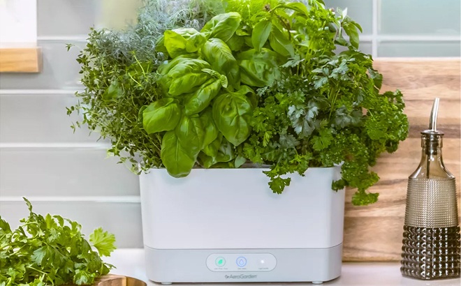 AeroGarden Harvest Indoor Garden Kit $83.49 + $10 Kohl's Cash