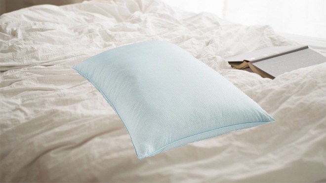 Martha Stewart Pillow $5.96 (Reg $40)