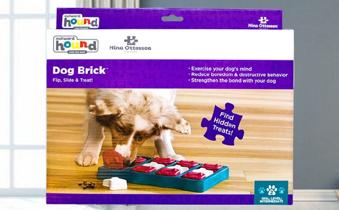 Dog Interactive Puzzle $9.48 (Reg $25)