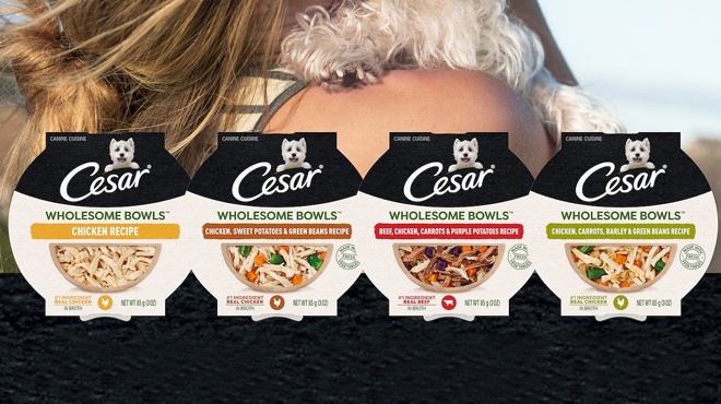 3 Cesar Wholesome Bowls Dog Food 81¢ Each