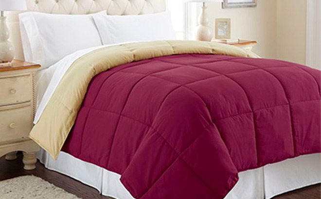 Down-Alt Comforters $19.99 - All Sizes!
