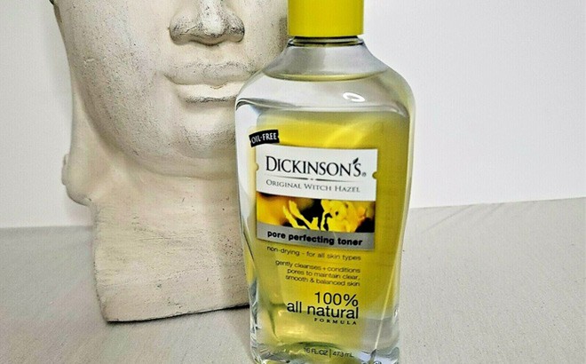 Dickinson's Pore Perfecting Toner 69¢ Each