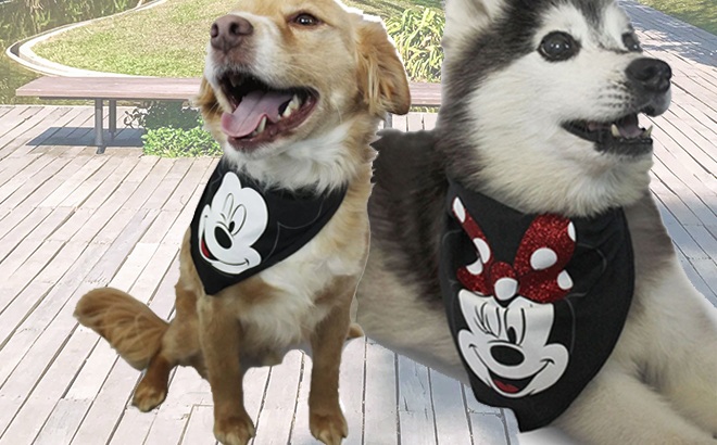 Disney Pet Bandanas $6