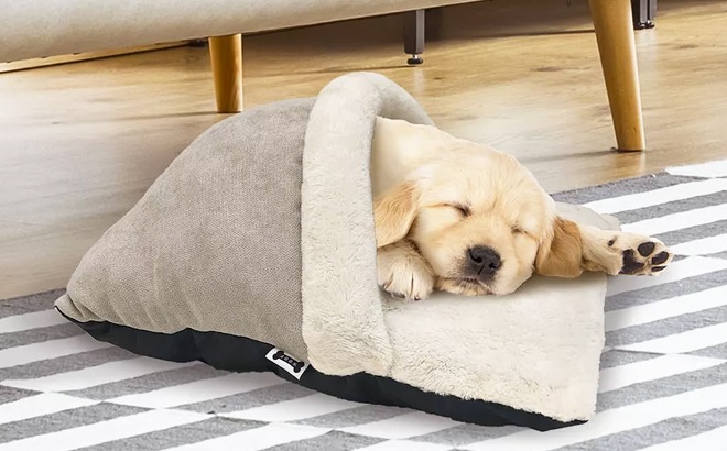 Dog Bed $7 (Reg $30)