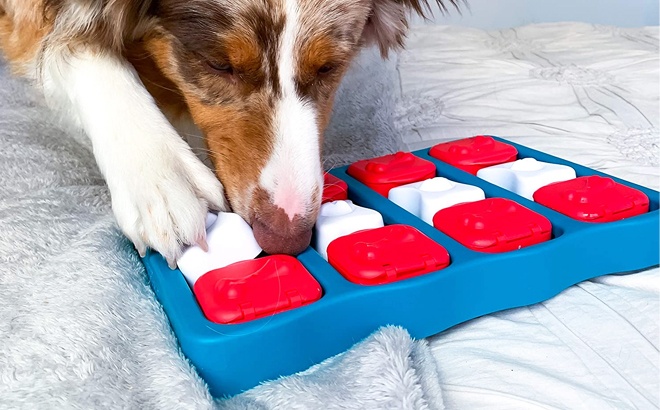 Interactive Puzzle Game Dog Toy $9