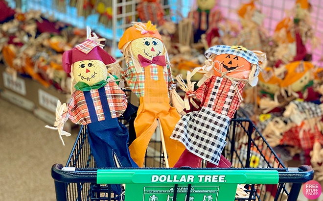 FREE $10 to Spend on Fall Decor at Dollar Tree