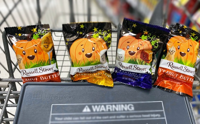 Russel Stover Halloween Candy 4 for $2