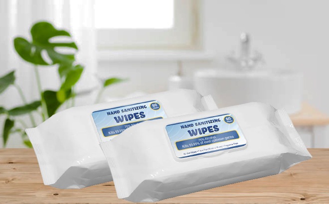 Hand Sanitizer Wipes 30-Pack $16 (53¢ per Pack)!