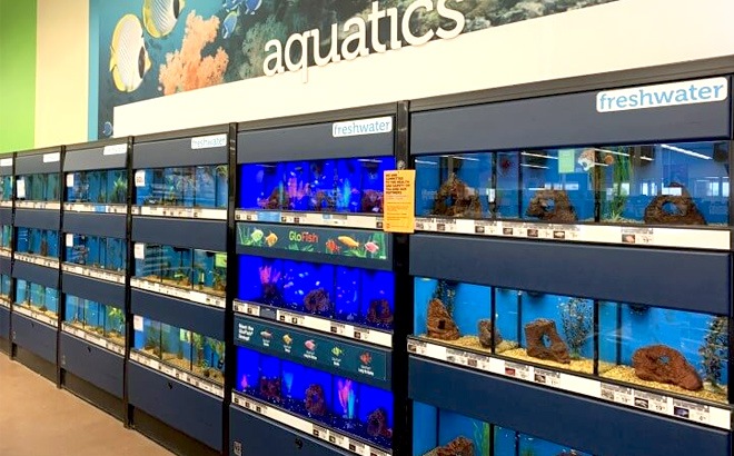 50% Aquarium Tanks at Petco