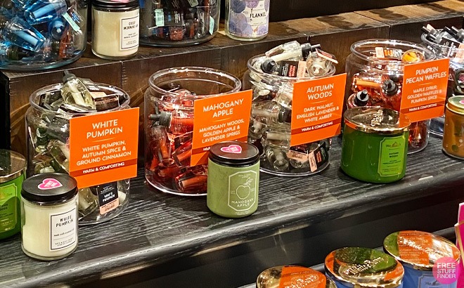 Bath & Body Works Wallflower Refills $3.95!