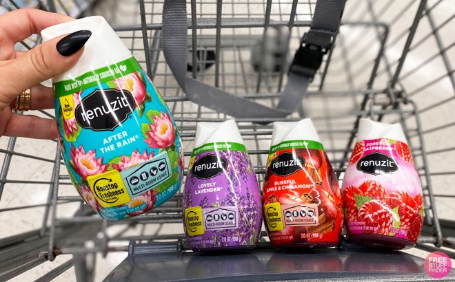 4 Renuzit Air Freshener for $1.78