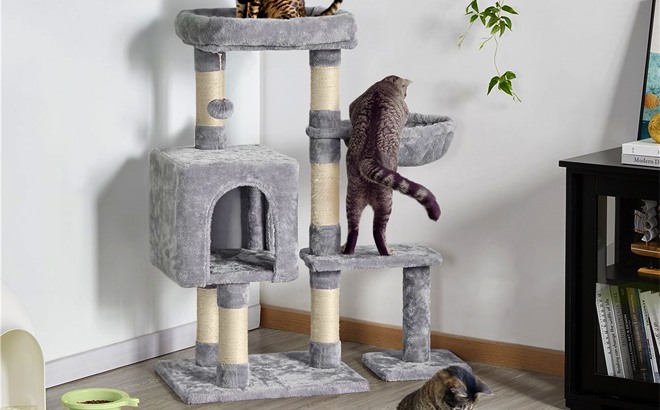 Multi-Level Cat Tree $44 Shipped