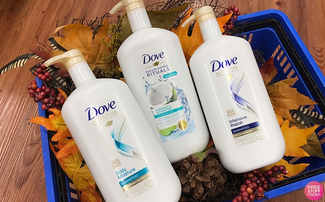 Dove Products Inside a Shopping Cart