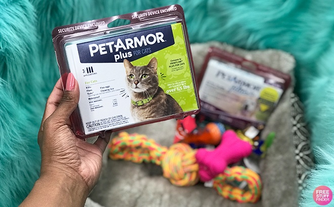 Hand Holding Pet Armor Cat Food