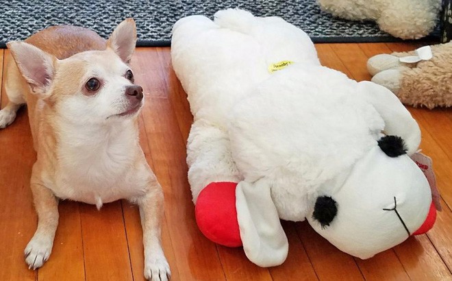 Jumbo Plush Dog Toy $8.69