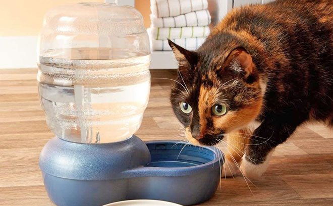 Pet Gravity Waterer $12.79
