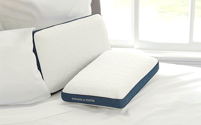 Stearns & foster indulge memory foam pillow sales
