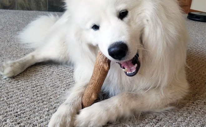 Dog Large Chew Toy $5.73 (Reg $15)