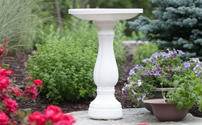 Bird Bath $32 Shipped (Reg $67)