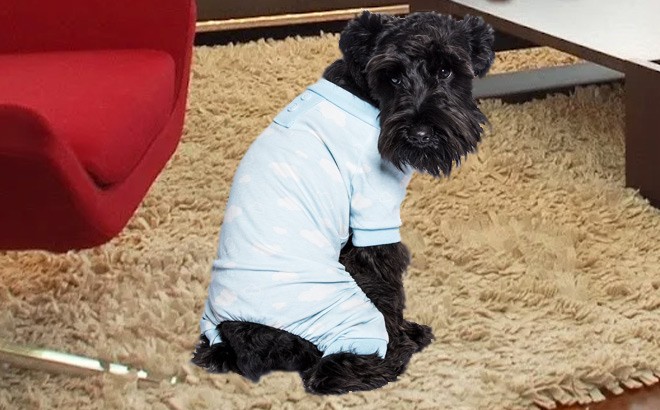 Dog Pajamas $18 (Reg $26)