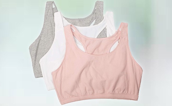 Fruit of the Loom Sports Bra 3-Pack $3.67