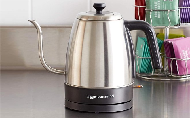 Programmable Electric Gooseneck Kettle $21