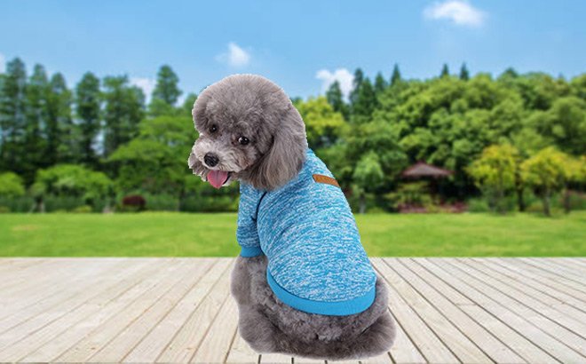 Dog Sweater $6.79!