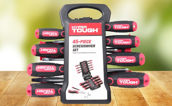 Screwdriver 45-Piece Set $6