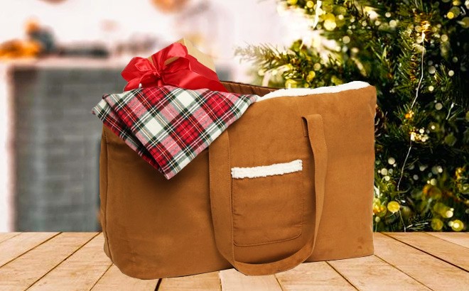 FREE UGG Bag with Shoes Purchase