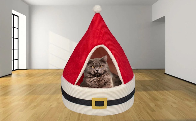 Holiday Pet Beds $12.97